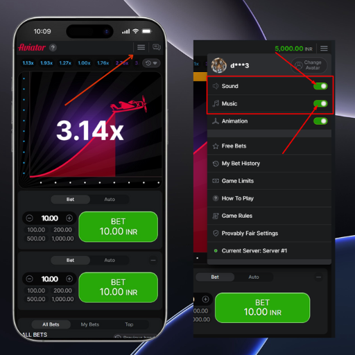 Aviator app ios settings